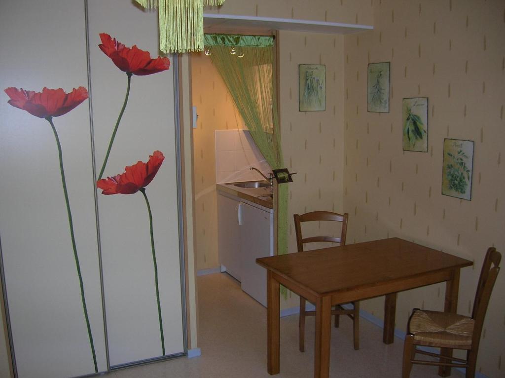 Les Berges Du Tarn Aparthotel Millau Cameră foto